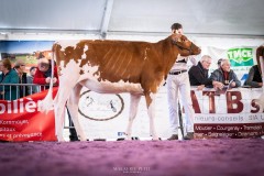 FIRST LADY - 6ème rang - Junior Arc Expo 2024
