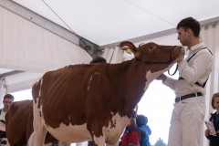 Jungfrauhills Achilles FIRST LADY - 4ème rang - Neuch'Expo 2024