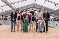 Menoud Red Altadateline MADI - 2ème rang, réserve championne HO et réserve championne du pis HO - Neuch'Expo 2024