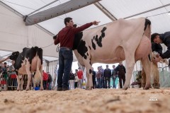 Menoud Red Altadateline MADI - 2ème rang, réserve championne HO et réserve championne du pis HO - Neuch'Expo 2024