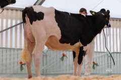 Menoud Red Moii MAIWENN - 2ème rang - NeuchExpo 2024