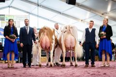 FaMiMa Levin DABINA 1ère. Championne du pis et réserve championne RH -  Junior Arc Expo 2025