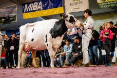 Menoud Red Altadateline MADI - Junior Arc Expo 2025