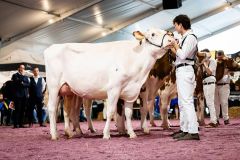 Menoud Red Bryson RAVEN 4ème - Junior Arc Expo 2025