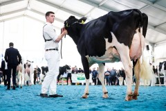 Budjon Valley Jager AMELIA - 3eme rang - ARC JURASSIEN EXPO 2025