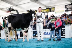 Budjon Valley Jager AMELIA - 3eme rang - ARC JURASSIEN EXPO 2025