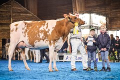 Doral FLORYNE - 5eme rang EXPO BULLE 2025