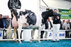 Du bon vent Allongside NASSA - 3eme rang - ARC JURASSIEN EXPO 2025