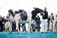 Du bon vent Allongside NASSA - 3eme rang - ARC JURASSIEN EXPO 2025