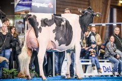 Du bon vent Allongside NASSA - EXPO BULLE 2025