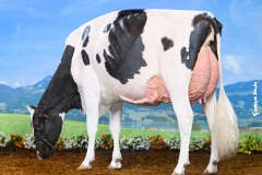Du bon vent Allongside NASSA - EXPO BULLE 2025