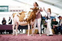 Menoud Red Maximum ODE 5ème - Junior Arc Expo 2025