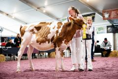 Menoud Red Maximum ODE 5ème - Junior Arc Expo 2025