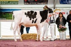 Menoud Red Mooi AURORE - Junior Arc Expo 2025