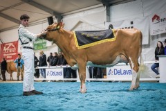 Orlando ZORA - Championne suprême race mixte -ARC JURASSIEN EXPO 2025