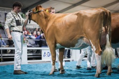 Orlando ZORA - Championne suprême race mixte -ARC JURASSIEN EXPO 2025