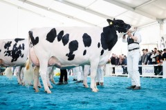 Rambo HAITIA - 5eme rang ARC JURASSIEN EXPO 2025