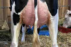 Menoud Red Brain ROSCHEN 1ère - Junior Arc Expo 2025