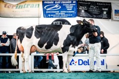 Luthi Apple Crisp CORONA - 5eme Arc Jurassien Expo