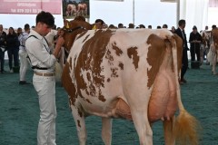 Menoud Red Doral FLORYNE - Arc Jurassien Expo