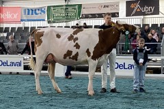 Menoud Red Luxor Serena - 4eme Arc Jurassien Expo