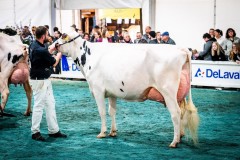 PJP Mirand SLAME - 2eme / 5e finaliste championnat du pis Arc Jurassien Expo