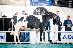 Stauffred Blakely NANA - 3eme rang Arc Jurassien Expo