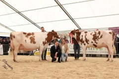 Jubilé de l'association d'élevage bovin d'Ajoie - avril 2023