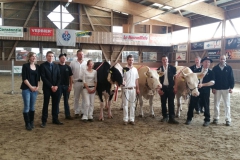 Vache Expo à Martigny - avril 2017