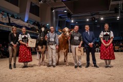 La Starparade à Berthoud 2025