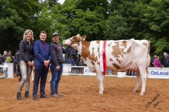 Marche concours Delémont Agri Jura 50 ans - Avril 2025