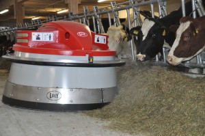 Juno : robot d’affouragement  qui pousse le fourrage dans les crèches des vaches toutes les 2h.
